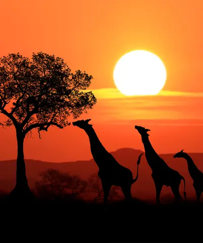South Africa